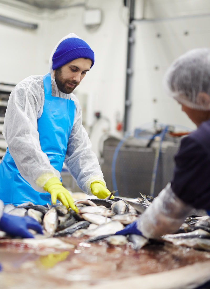 agriculture-fisheries-img