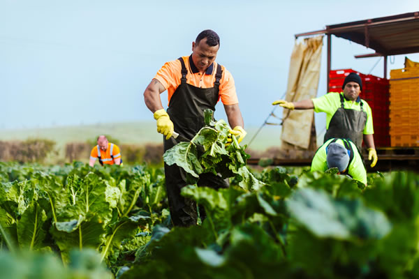 agriculture-fisheries-img 2