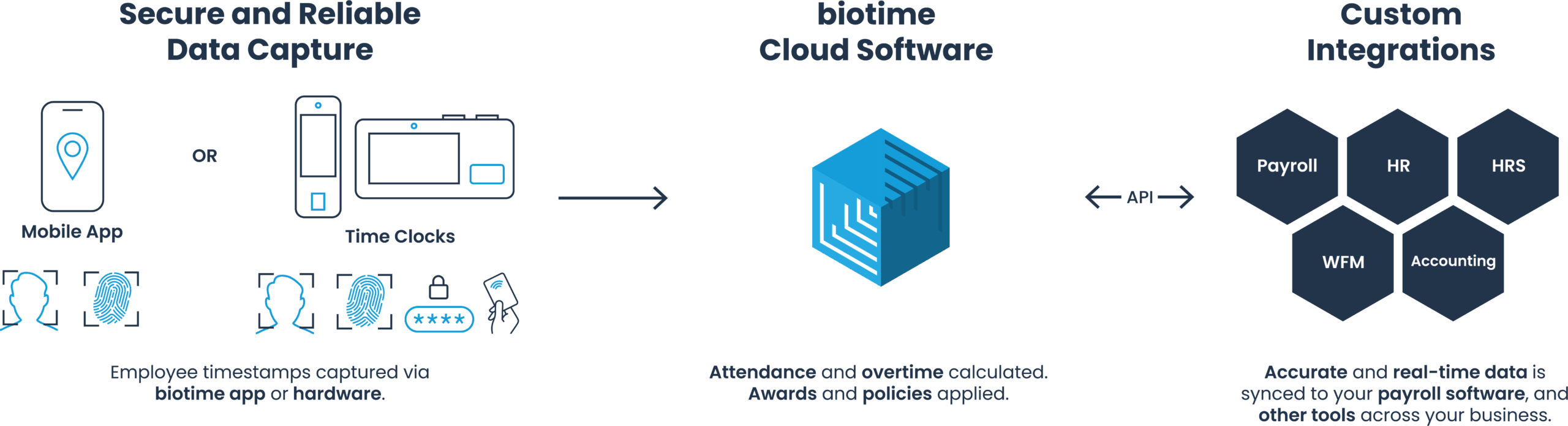 TimeClocks Infographic