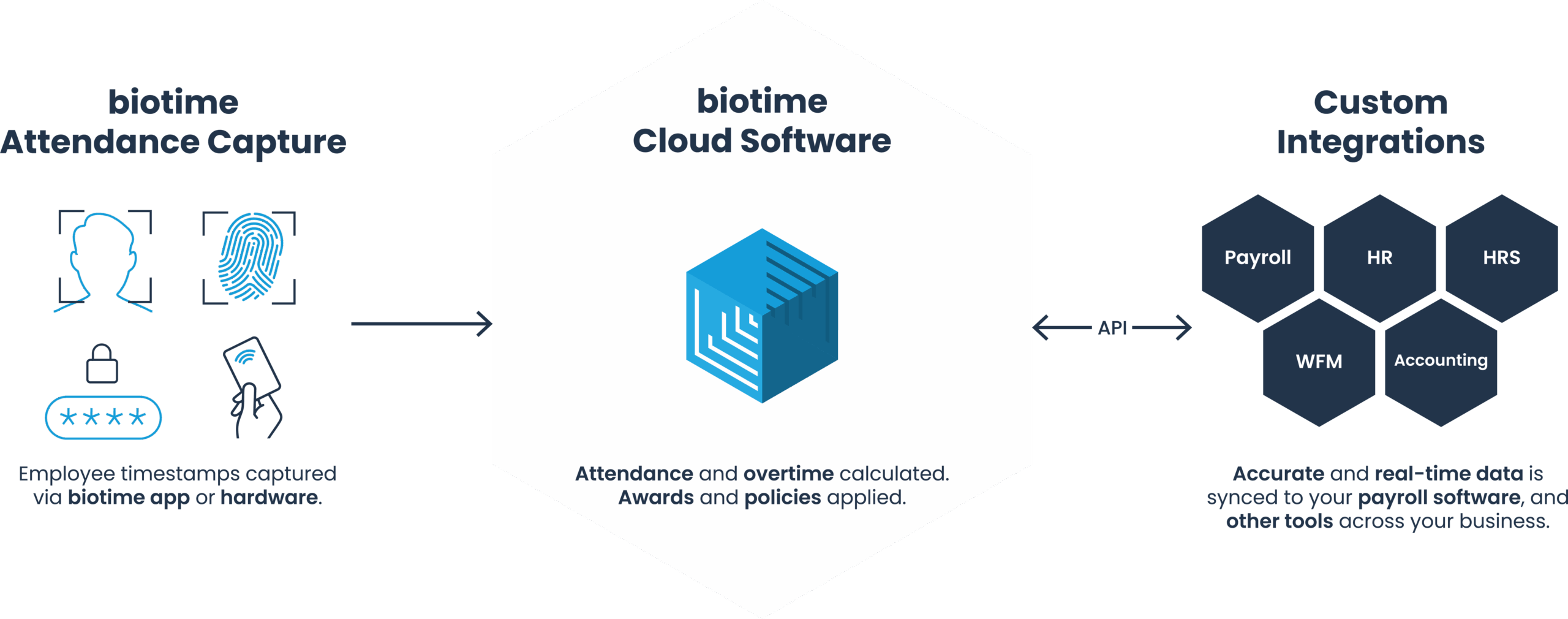 biotime Solution Infographic