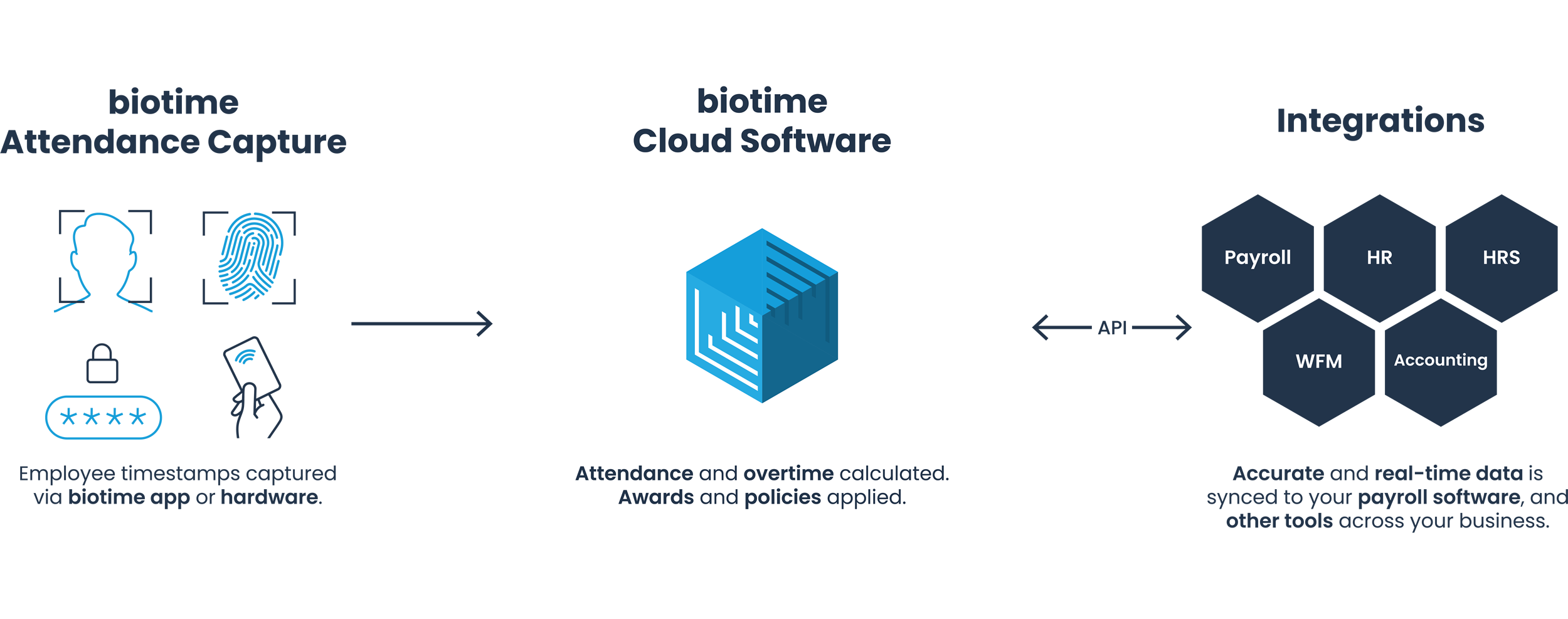 biotime Solution - Desktop